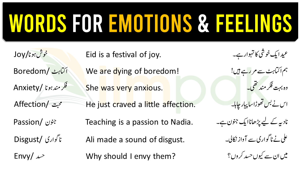 English To Urdu Words With Sentences For Emotions & Feelings