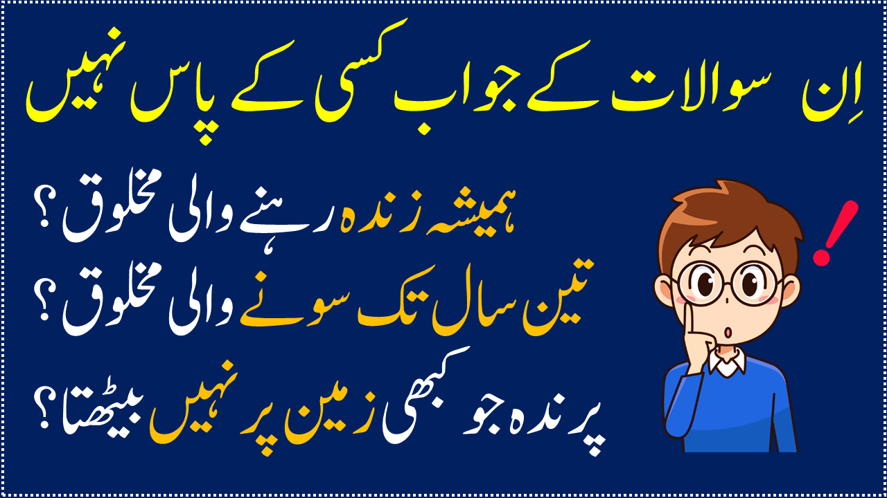 World General Knowledge Questions With Answers In Urdu/Hind