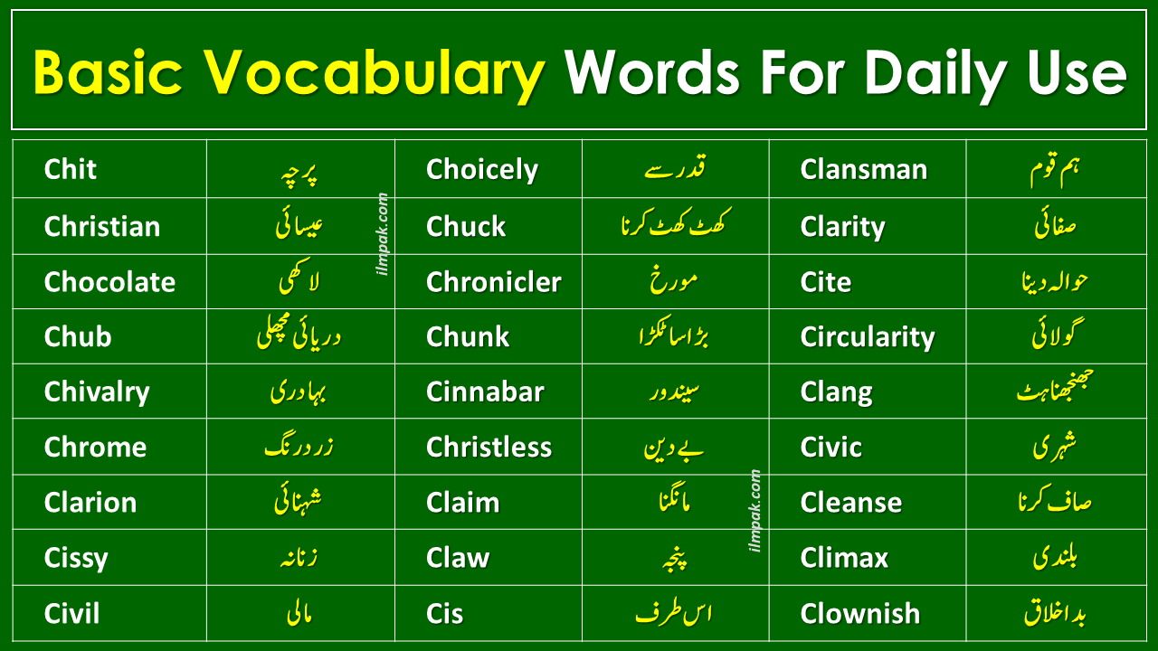 Basic Vocabulary Words in English with Urdu Meanings | PDF