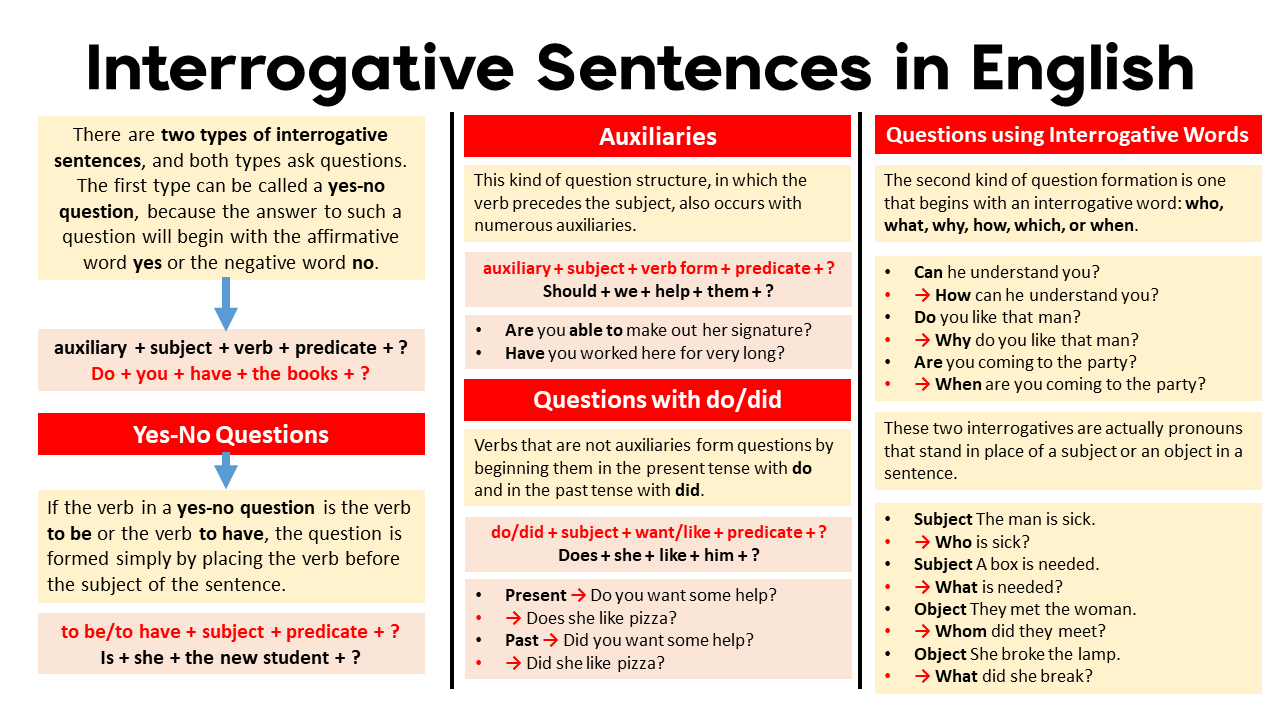 Interrogative Sentences | Questions Using Interrogative Words