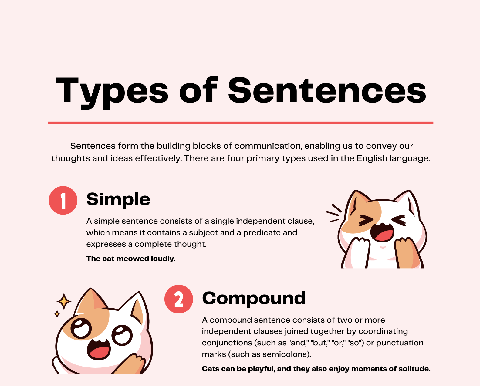 Types of Sentences in English with Examples