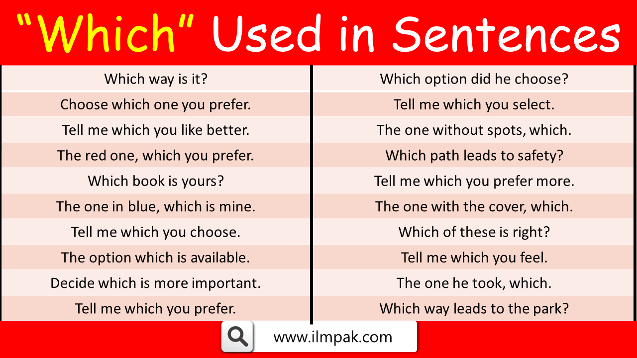 Which Used in a Sentence | Sentences with "Which"